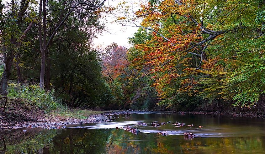 White Clay Creek in the fall