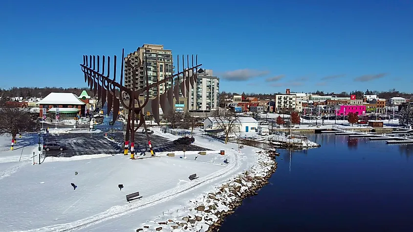 Sculpture Bird in Barrie, Ontario, Canada.