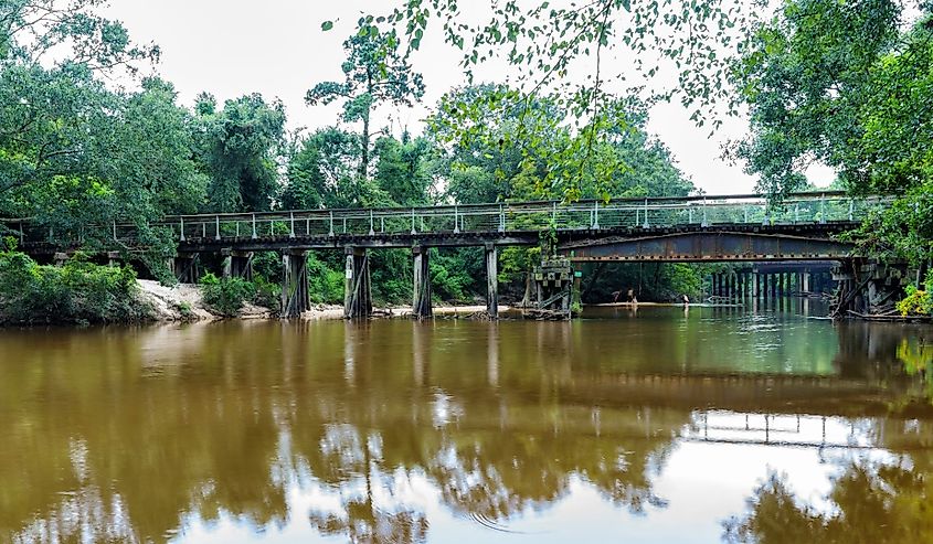Quiet water of the Bogue Falaya River flows under the Tammany Trace Bike Trail in Covington, Louisiana.