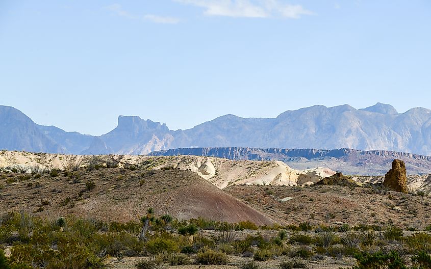 West Texas Landscape near Big Bend. 