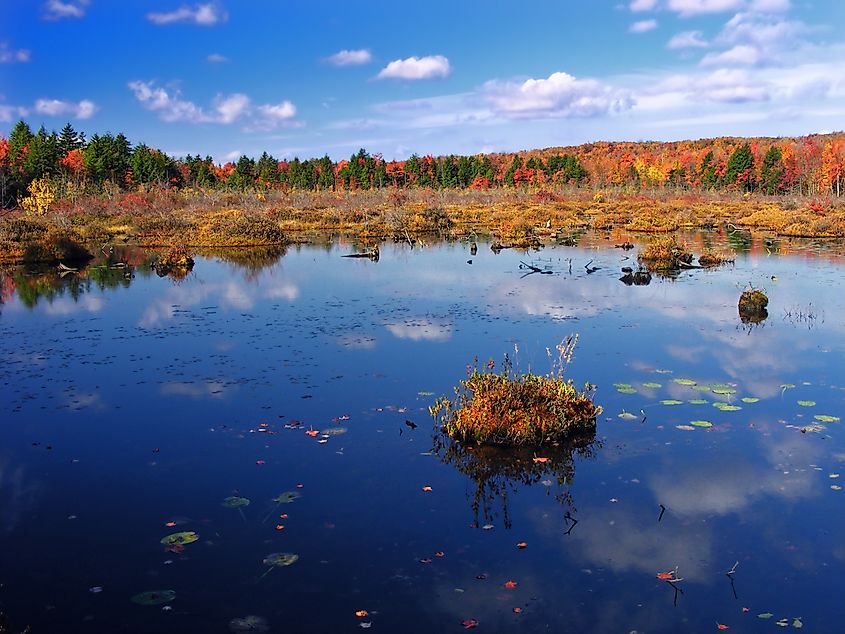 Tobyhanna State Park in Pocono Pines, Pennsylvania.