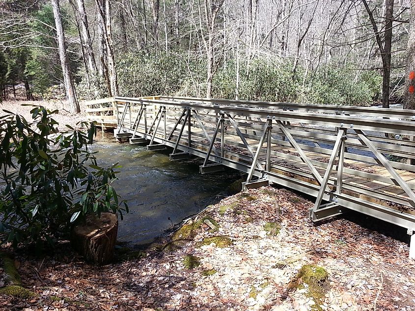 A bridge over Wykoff Run on the Quehanna Trail in north-central Pennsylvania