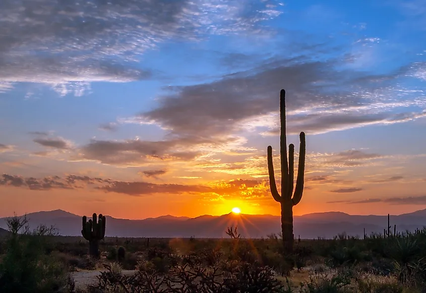 Colorful desert sunrise