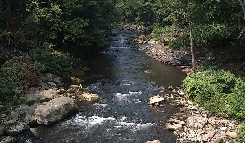 Savage River in Savage River State Forest, Maryland as seen from the Allegany Bridge.