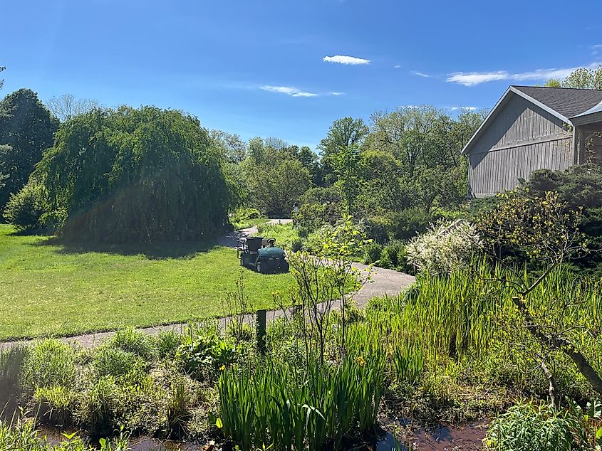A garden in Buchanan, Michigan.