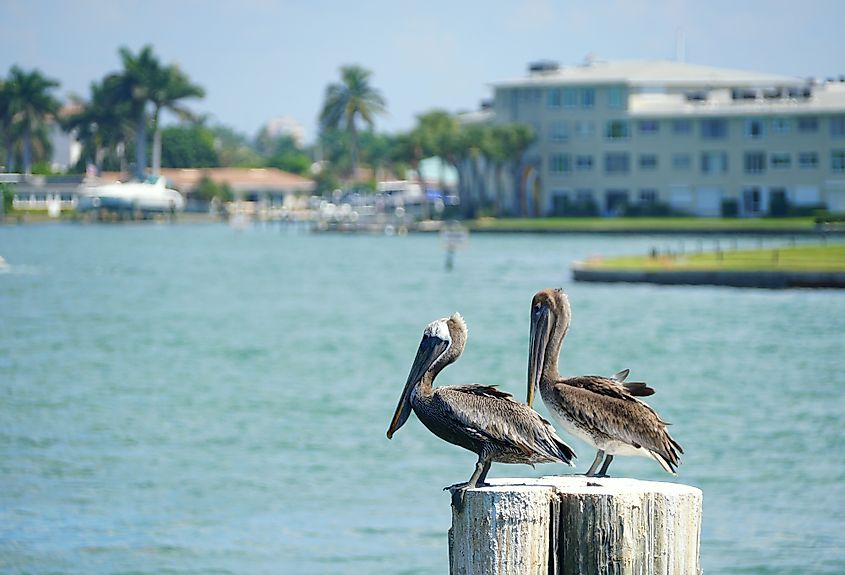 Madeira beach