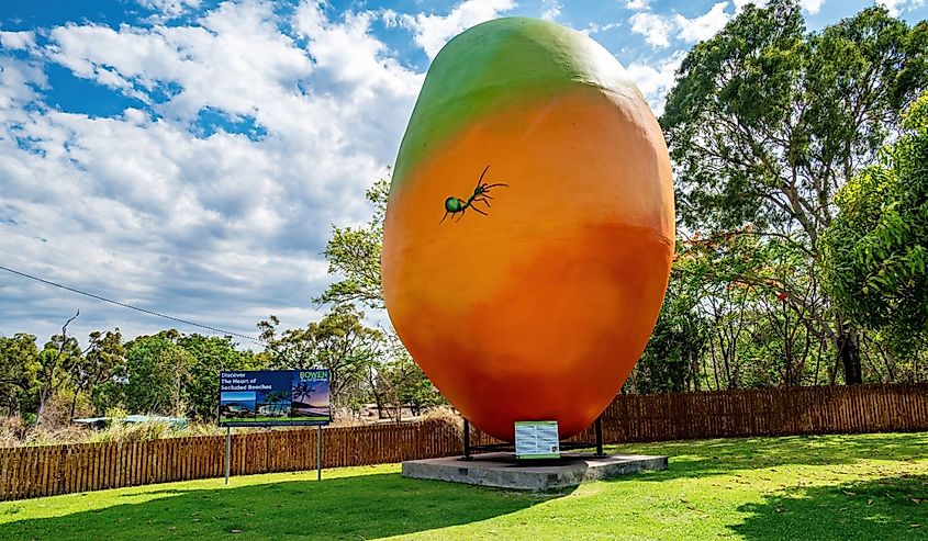 Giant mango outside the Bowen Visitor Centre - one of Australia's many 'big things'.