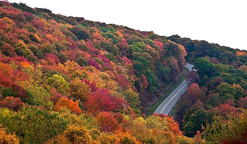 Overlooking the Cherohala Skyway in Tennessee with fall colors.