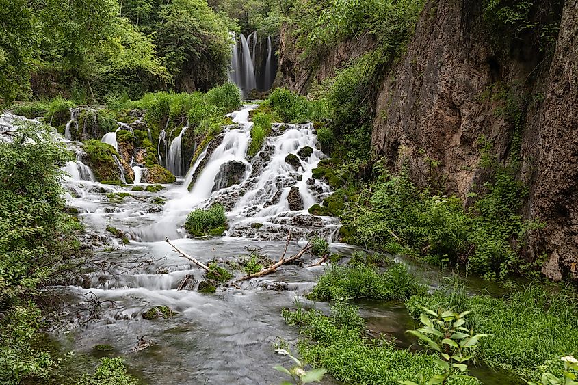 Daniel Boone national forest