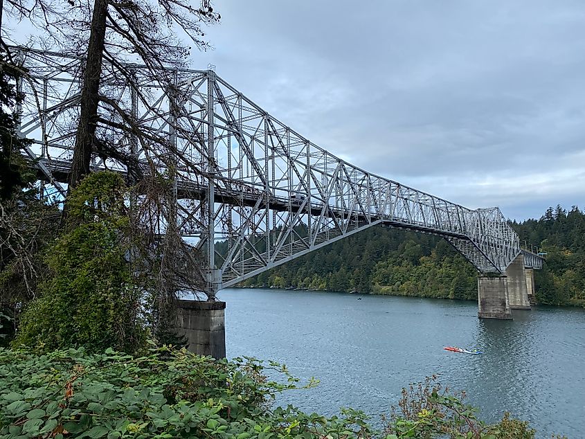 A team of paddlers barely visible passing beneath a large steel bridge crossing the verdant Columbia River gorge.