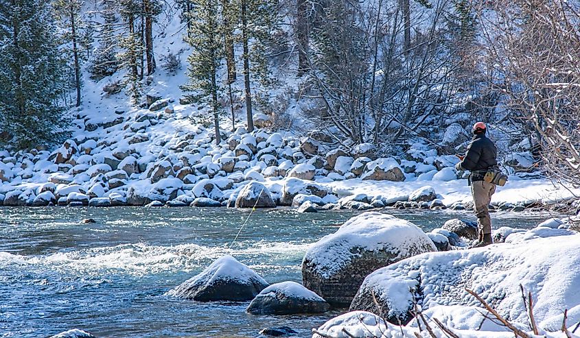 Winter fly fishing on the Salmon River, Idaho