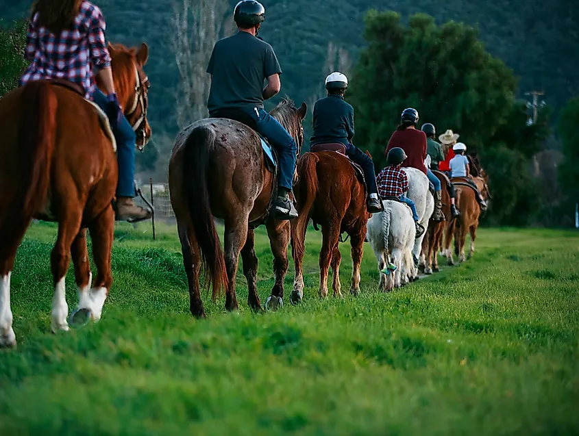 Riders at Santa Ynez Valley Horseback Rides.