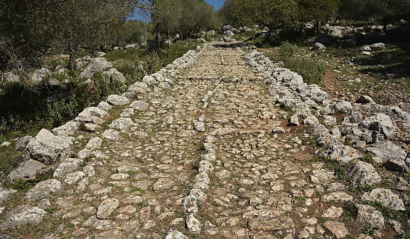 Wild olive trees line a Roman road that connected ancient Carteia and Corduba, incl. rain water gutters on both sides and symmetrical, coffered structure of the lime stone paving, near Ubrique, Spain