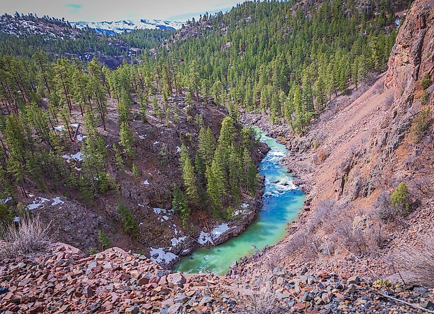 The Animas River is found in the San Juan National Forest in Colorado.