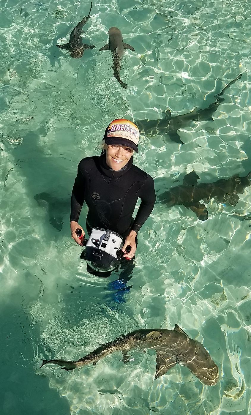 Jillian with sub adult lemon sharks credit Duncan Brake