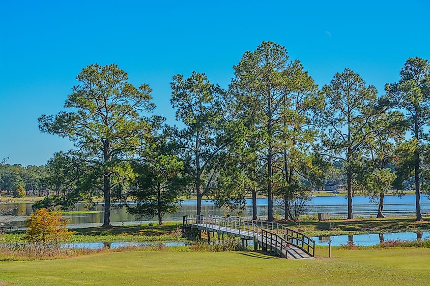 A walking bridge on Reed Bingham Lake in Georgia