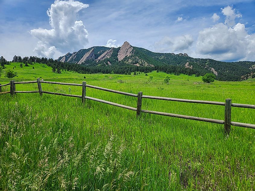Grasslands in Boulder County, Colorado.