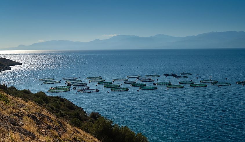 Fish farms in the midst of beautiful coastal scenes along the shores of the Gulf of Corinth, Greece