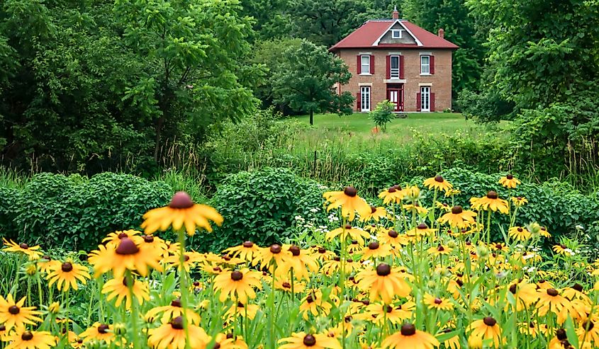 Summer at the fish hatchery in Decorah, Iowa