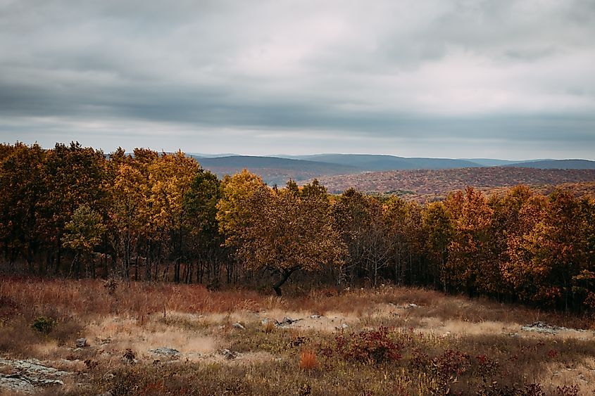 Taum Sauk Mountain State Park overlook during fall day.