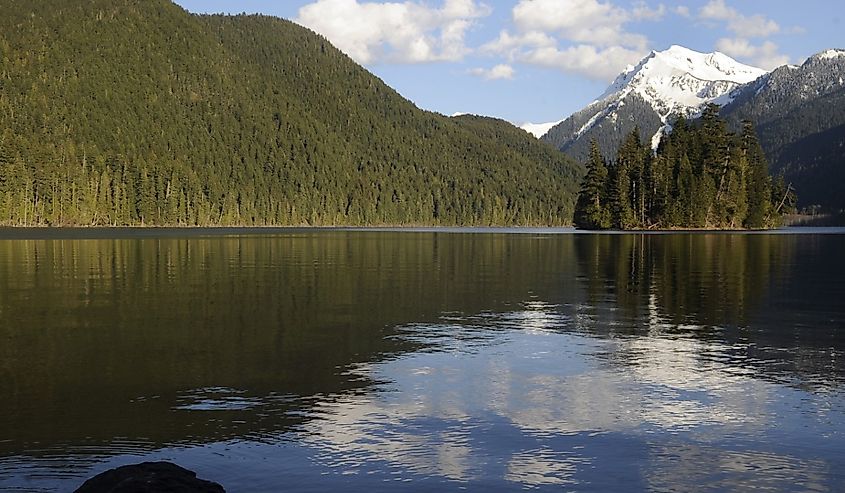 Looking out over Packwood Lake, Washington state.