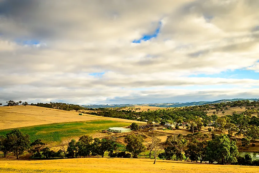 Farmlands at sunset in Yankalilla, South Australia.