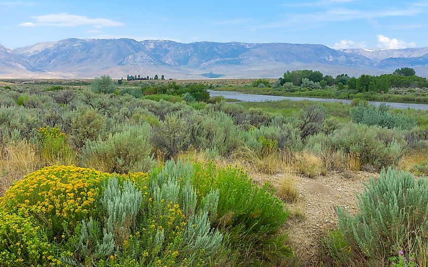 Beautiful natural landscape near Red Lodge, Montana.