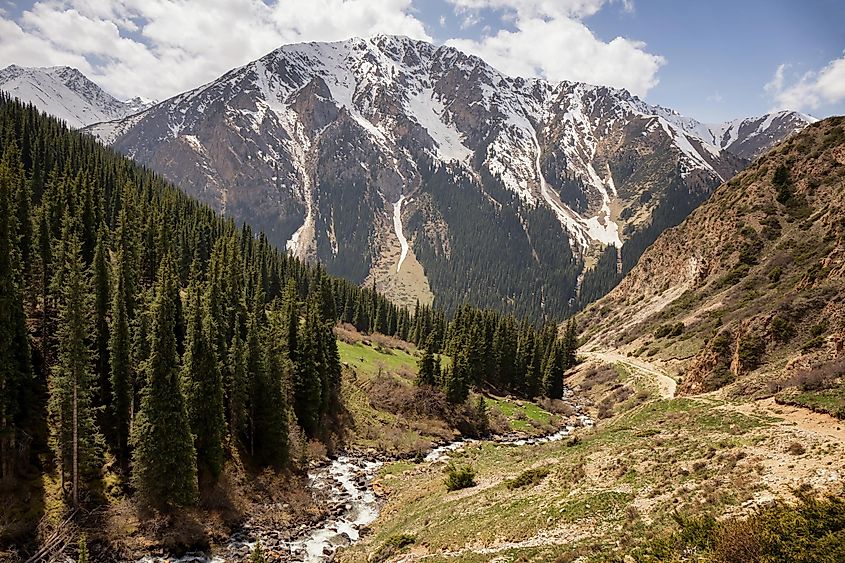 The Tian Shan mountains seen from the Altyn Arashan valley.