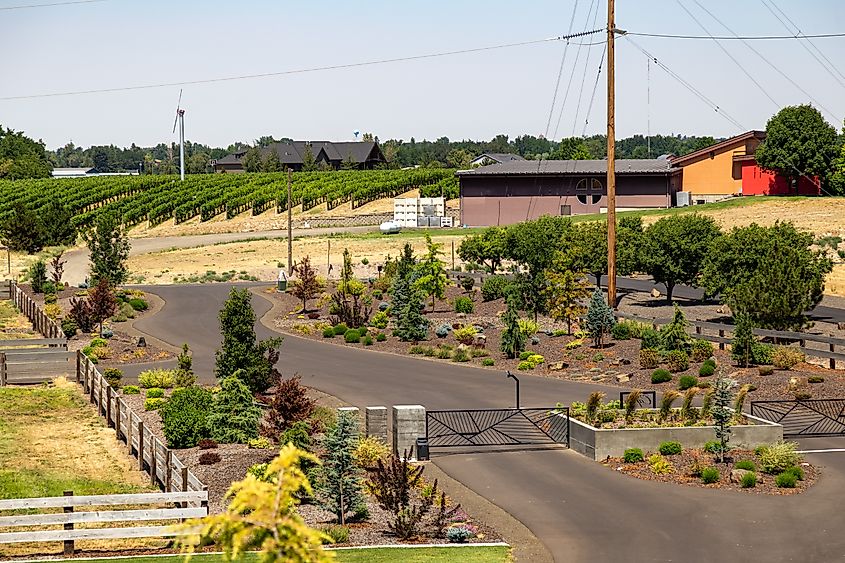 Wine country in Walla Walla, Washington.