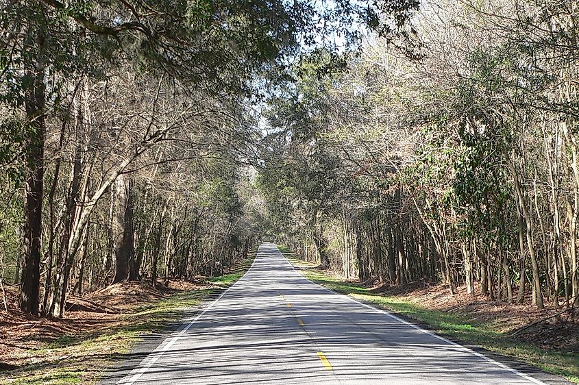 Ashley River Road northwest of Charleston, South Carolina.