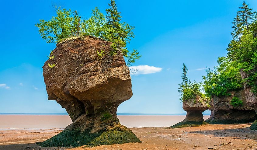 Rock formations that have been sculpted by nature over many centuries. Hopewell Cape at the Bay of Fundy, New Brunswick.