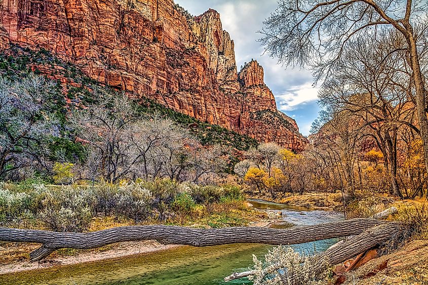 Zion National Park is situated in the southwestern United States, near Springdale, Utah.