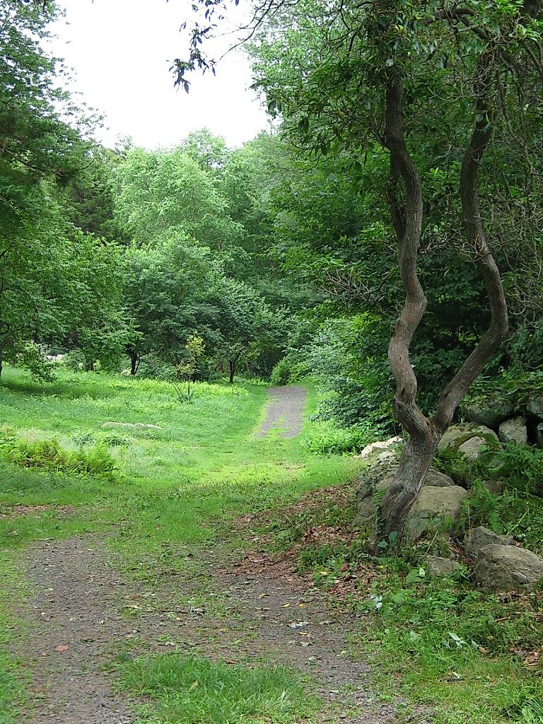 Among the green paths of the arboretum. Credit: By GK tramrunner at English Wikipedia, CC BY-SA 3.0, https://commons.wikimedia.org/w/index.php?curid=17875606
