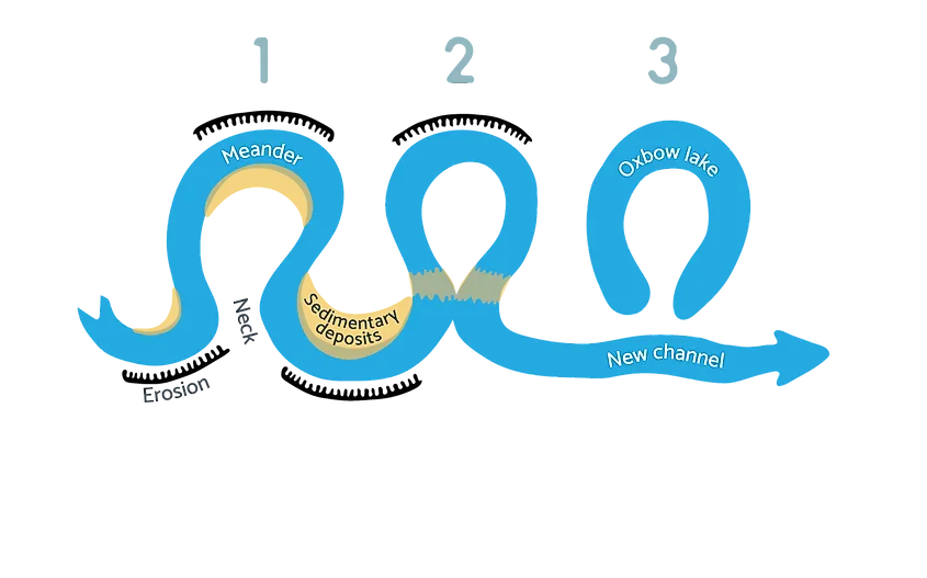 Oxbow lake formation