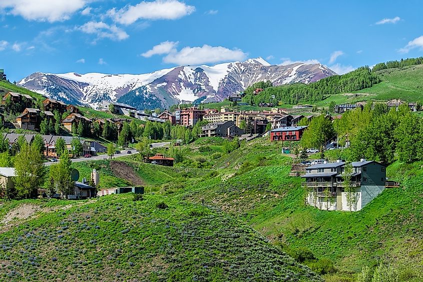 Village town of Mt Crested Butte Resort in summer with colorful grass and wooden lodging houses on hills with green trees