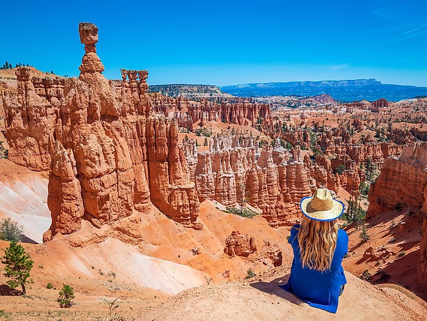 A visitor admiring the beauty of the Bryce Canyon.