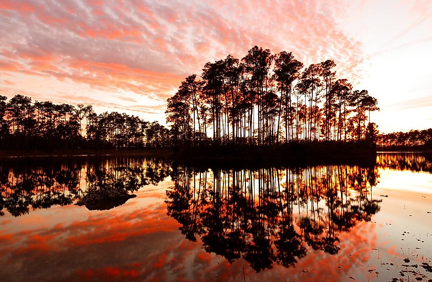 Long Pine Key Lake at Sunset, Everglades National Park, Florida