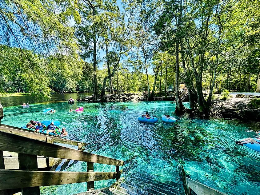 Local swimmers and divers swim in the clear turquoise spring waters of Ginnie Springs near High Springs, Florida.