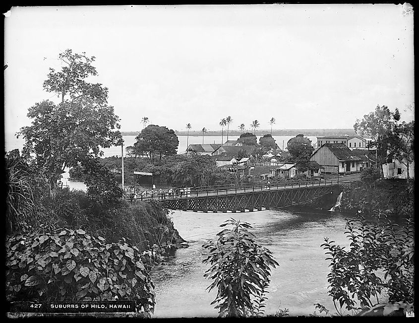 Distant view of the suburbs of Hilo, Hawaii, 1907