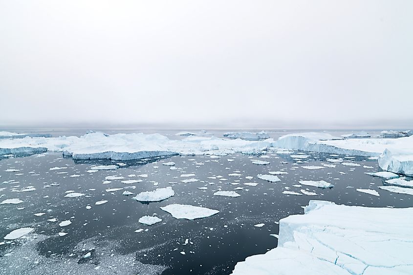 Hans Island, a disputed island between Canada and Greenland