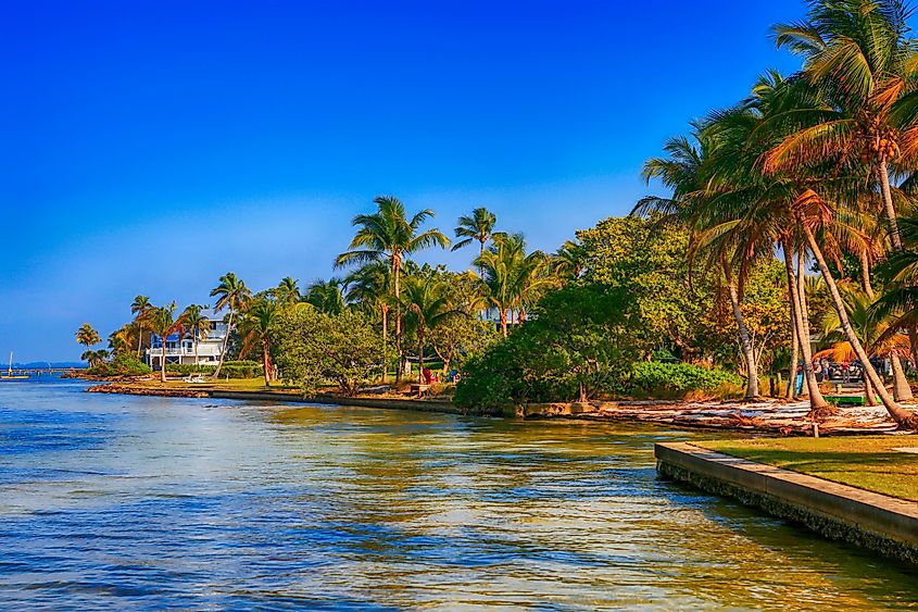 View of the coastline of Pine Island at Bokeelia, Florida.