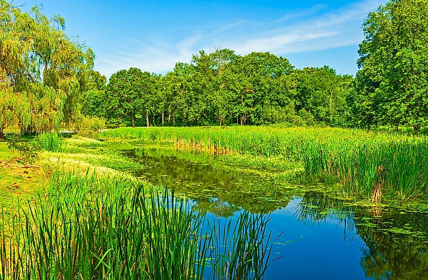 View of a pond and Fall Kill river near the house of Eleanor Roosevelt in Val-Kill.  Hyde Park.