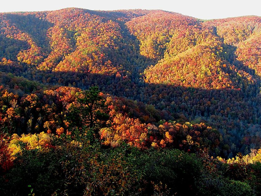 Mountain Bridge Wilderness Area in South Carolina.