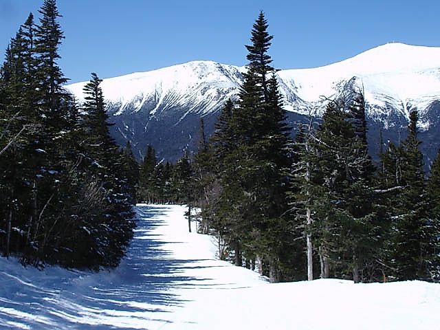 The Upper Wildcat Trail.