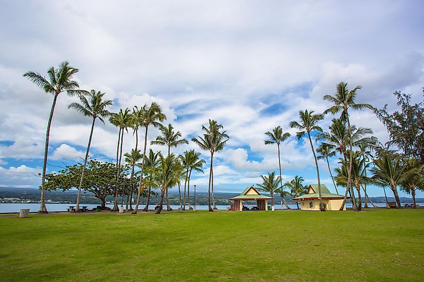 Recreation area with green lawn and tall palm trees in Hilo, Big Island, Hawaii