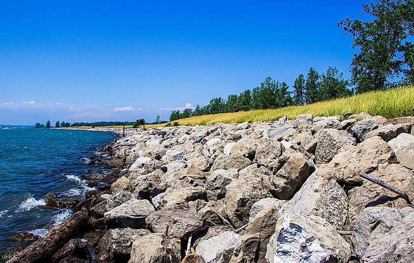 shore of Lake Erie with grass and trees on side against blue sky backdrop in Buffalo, New York