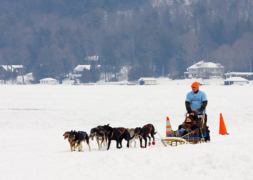 Kids have a fun ride in a dog sled on the ice of Lake George during the Lake George Winter Carnival.