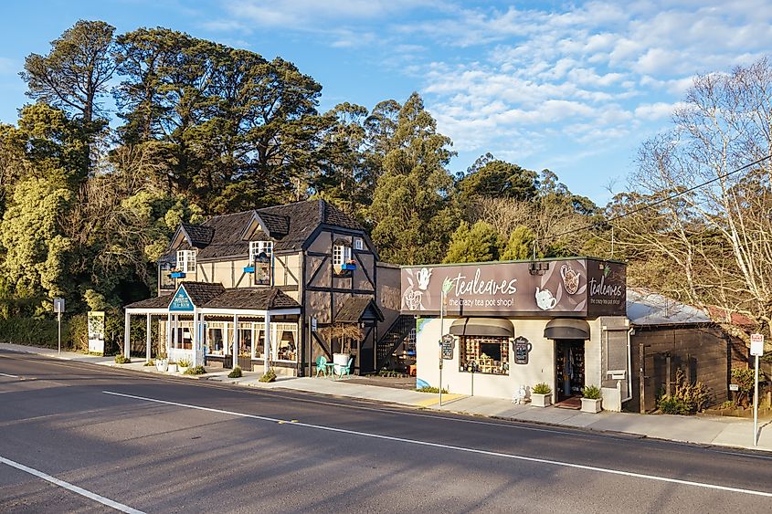 The quaint tourist country town of Sassafras in the Dandenong Ranges on a quiet winter's afternoon in Victoria, Australia. 