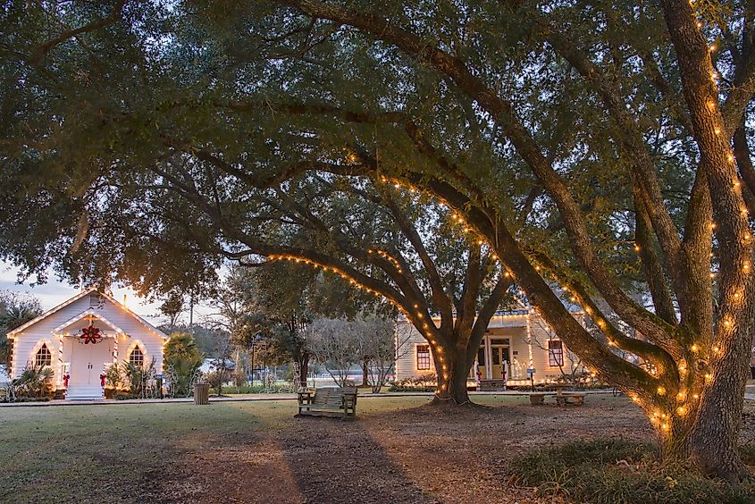 Christmas time under the lighted oaks at Vieux Village in Opelousas, Louisiana.