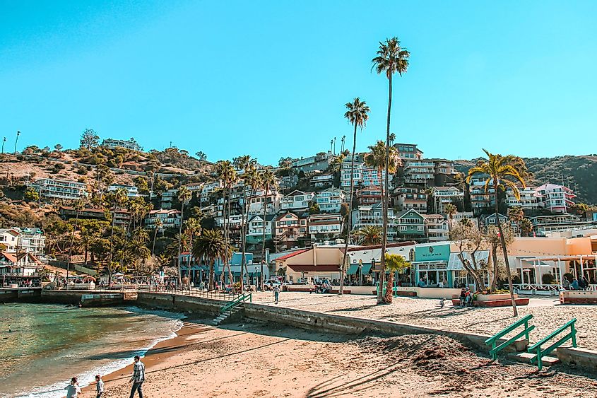 Houses on the hills along the waterfront in Catalina Island, California